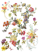 Saint Germain Transfer by IOD - Iron Orchid Designs