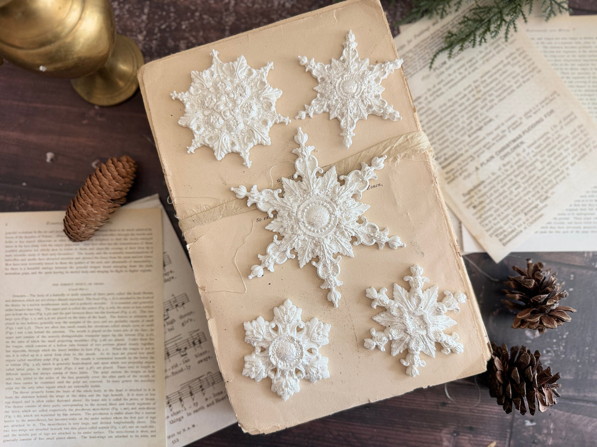 Beige gift box with five ornate I.O.D. Snowflakes Mould (2026 Limited Release) snowflakes and pinecones.