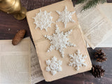 Beige gift box with five ornate I.O.D. Snowflakes Mould (2026 Limited Release) snowflakes and pinecones.