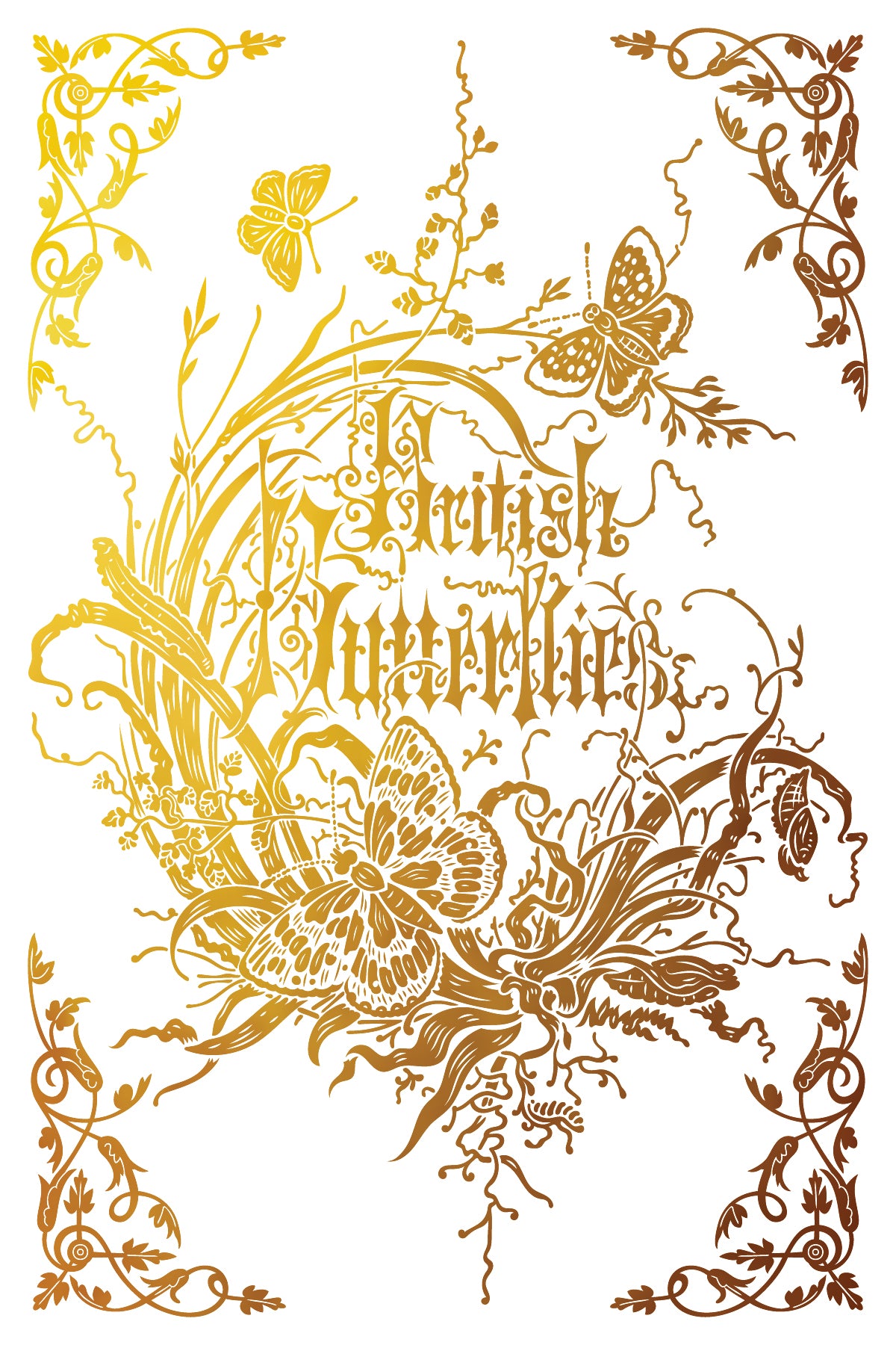 Athenaeum Transfer by IOD - Iron Orchid Designs
