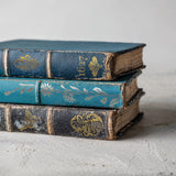 Athenaeum Transfer by IOD - Iron Orchid Designs