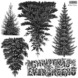 IOD Winter Grove Stamp packaging showing 12x12 sheet with reusable masks and evergreen artwork
