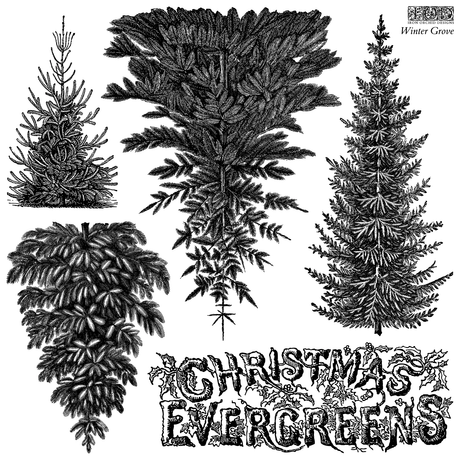 IOD Winter Grove Stamp packaging showing 12x12 sheet with reusable masks and evergreen artwork