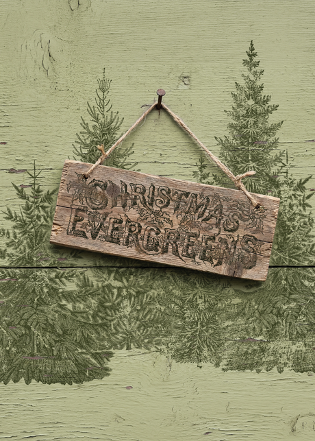 IOD Winter Grove Stamp evergreen tree impression on handmade paper for framed winter art
