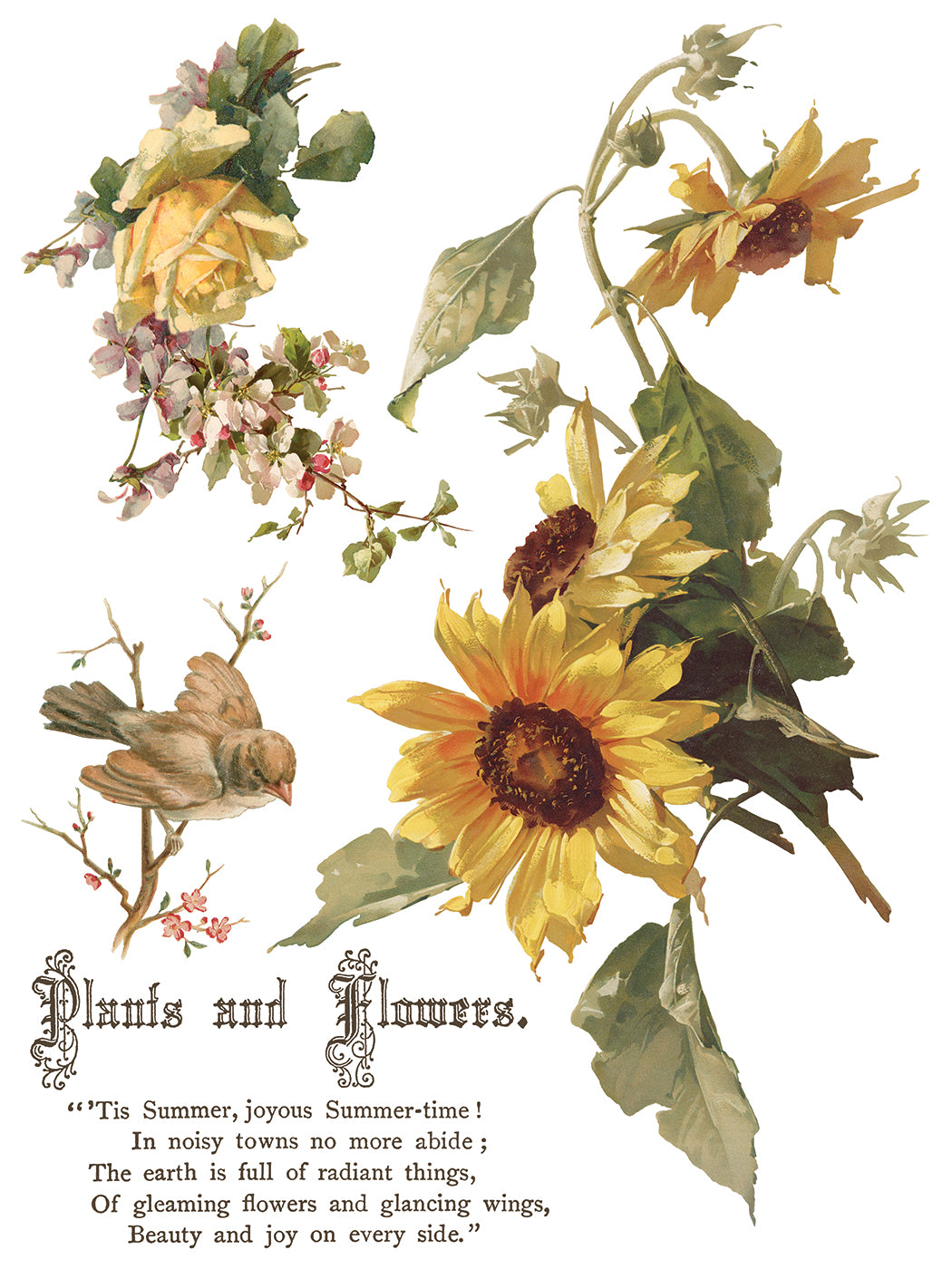 Flowers by the Poets Transfer by IOD - Iron Orchid Designs