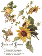 Flowers by the Poets Transfer by IOD - Iron Orchid Designs