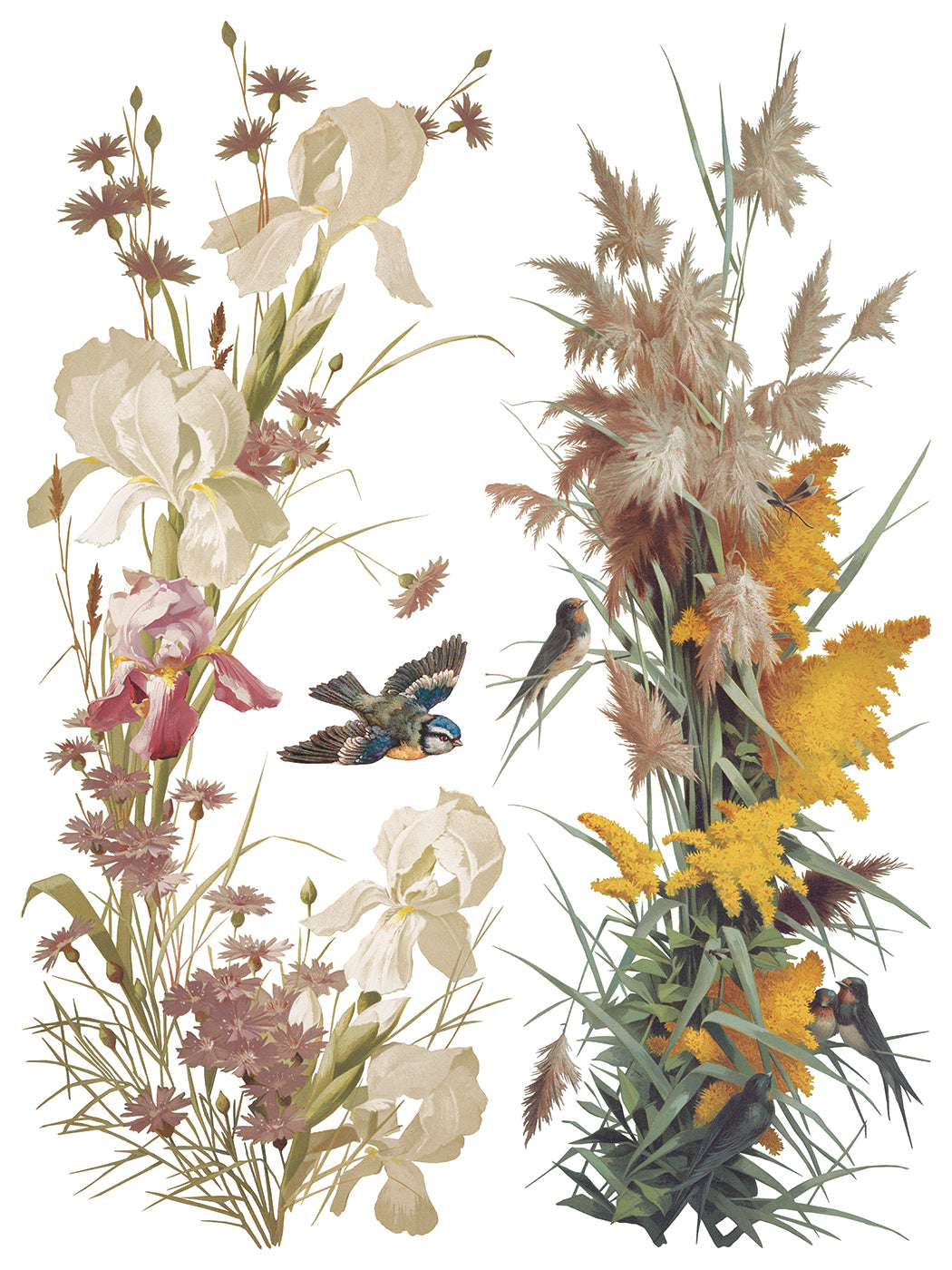 Flowers by the Poets Transfer by IOD - Iron Orchid Designs