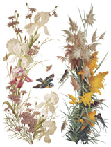 Flowers by the Poets Transfer by IOD - Iron Orchid Designs