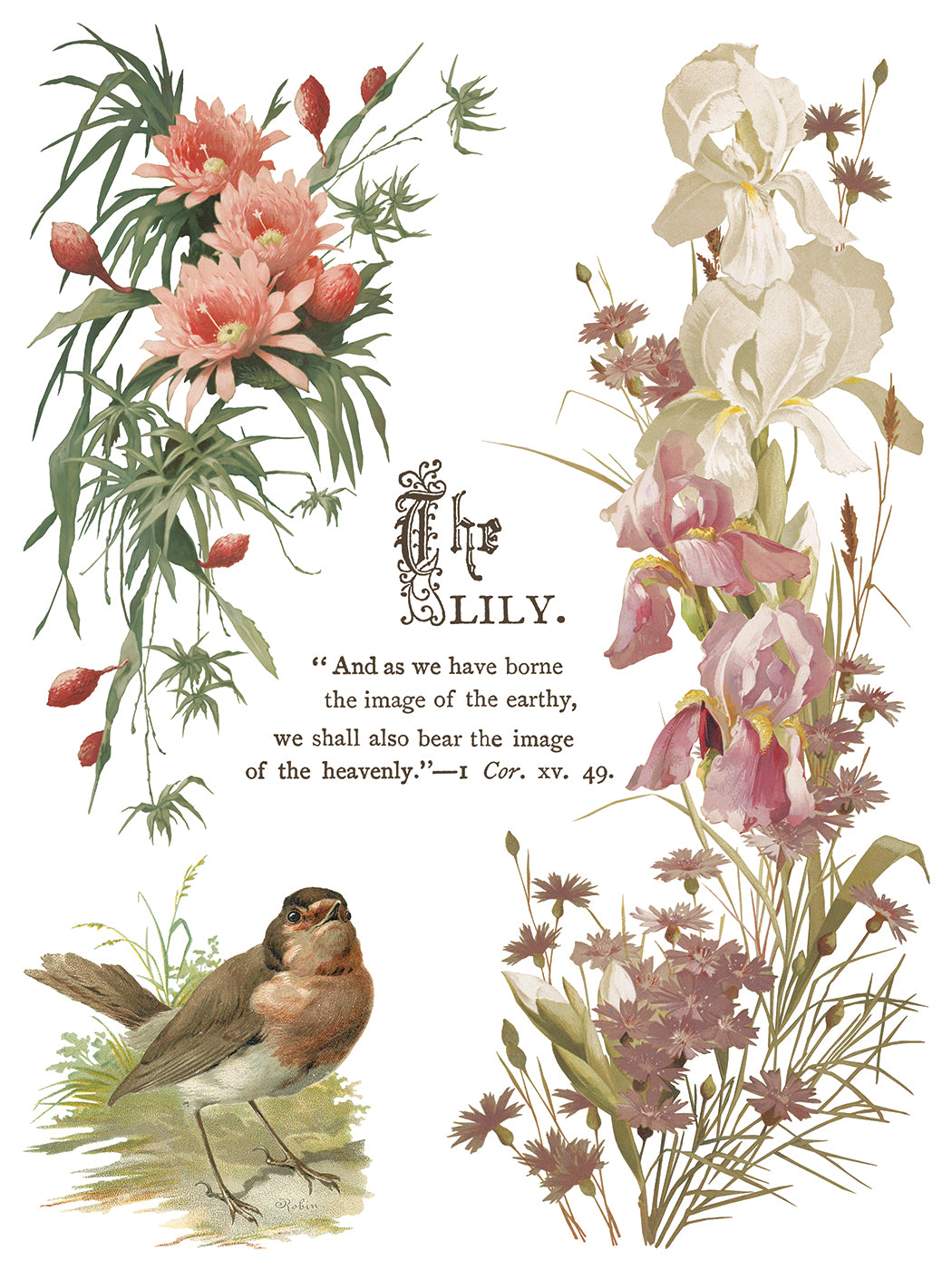 Flowers by the Poets Transfer by IOD - Iron Orchid Designs