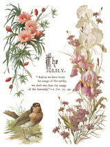 Flowers by the Poets Transfer by IOD - Iron Orchid Designs