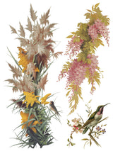 Flowers by the Poets Transfer by IOD - Iron Orchid Designs