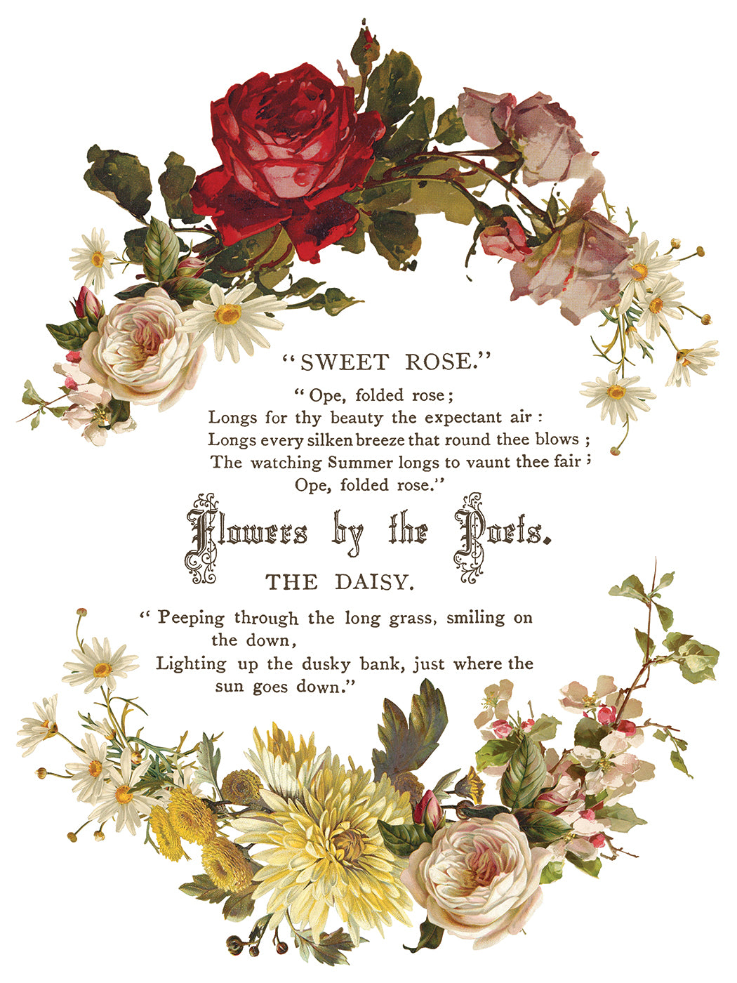 Flowers by the Poets Transfer by IOD - Iron Orchid Designs