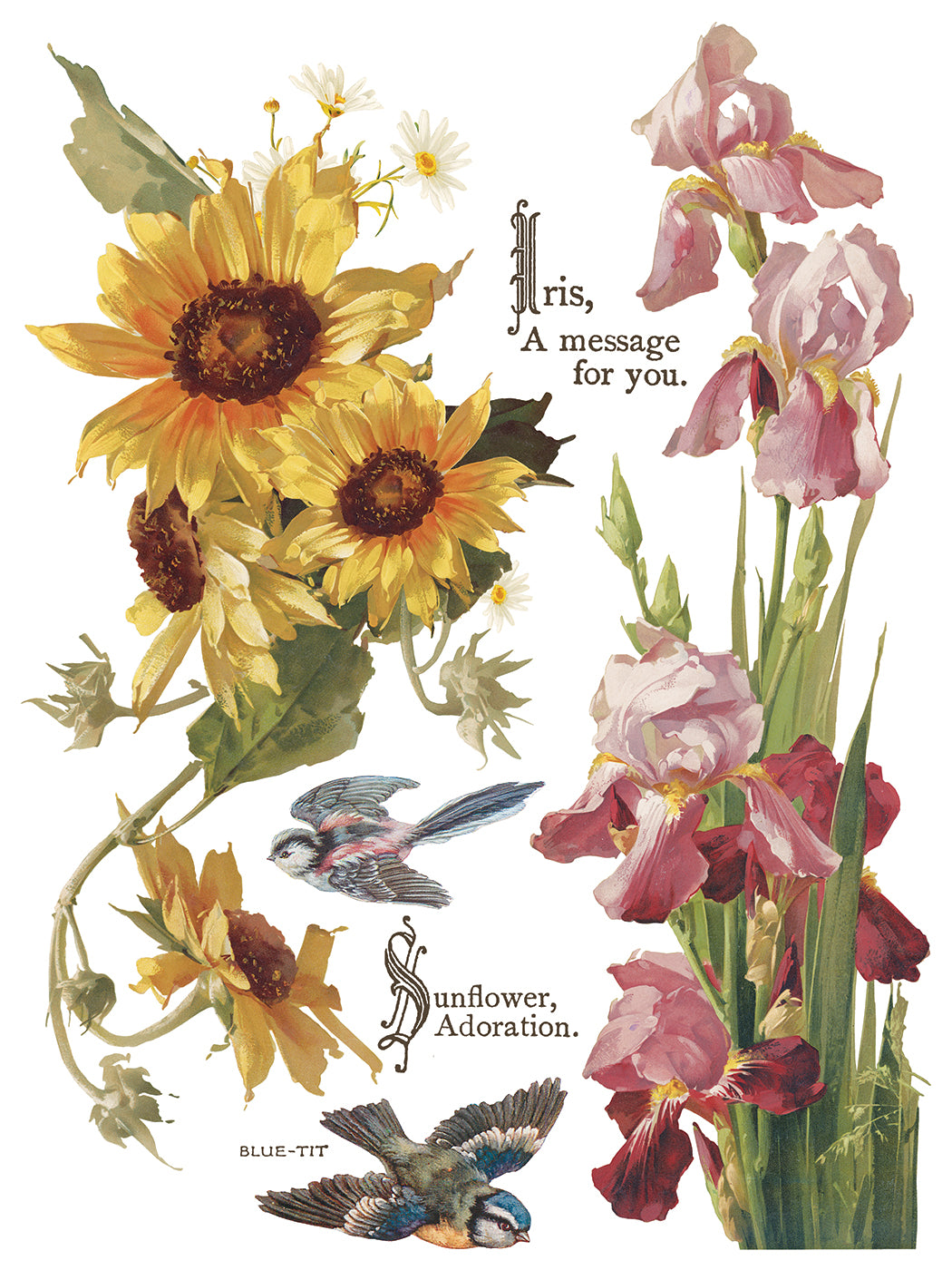 Flowers by the Poets Transfer by IOD - Iron Orchid Designs