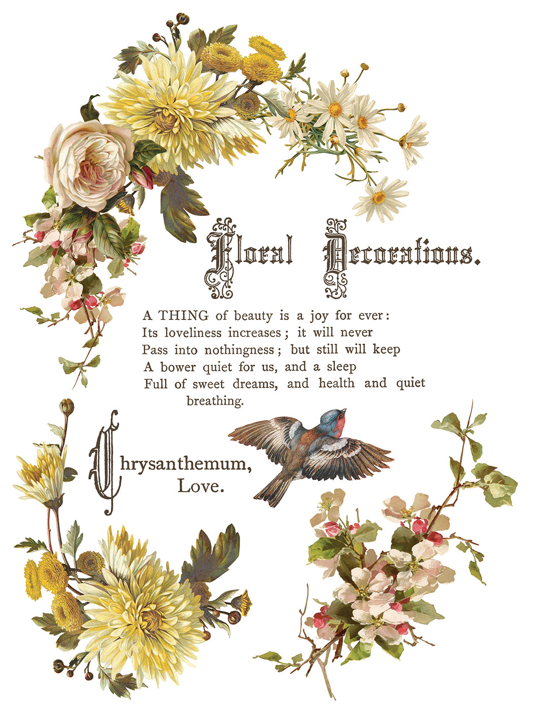 Flowers by the Poets Transfer by IOD - Iron Orchid Designs