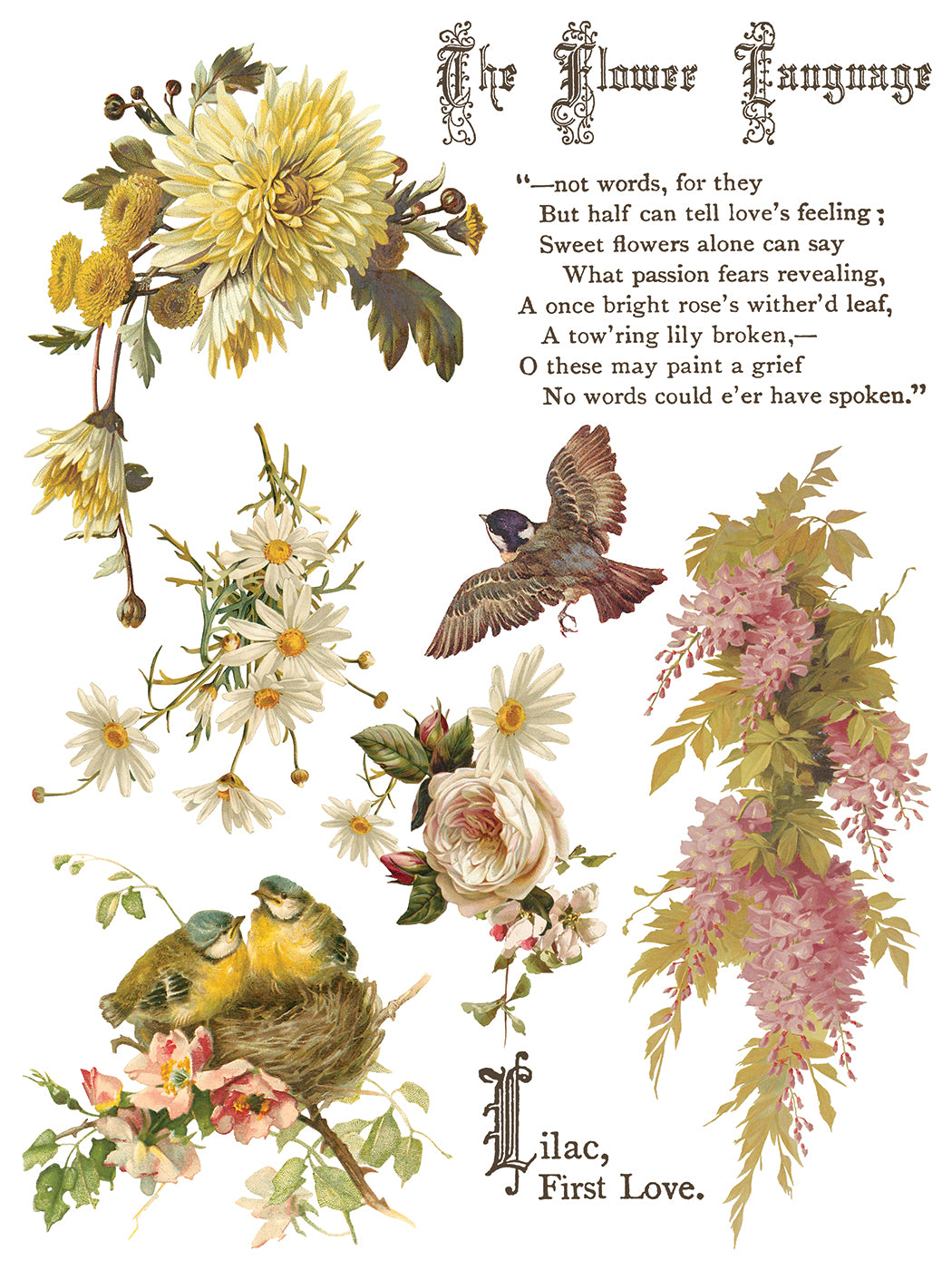 Flowers by the Poets Transfer by IOD - Iron Orchid Designs
