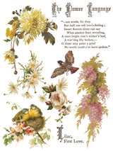 Flowers by the Poets Transfer by IOD - Iron Orchid Designs