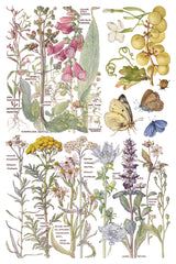 Primrose Isle Transfer by IOD - Iron Orchid Designs