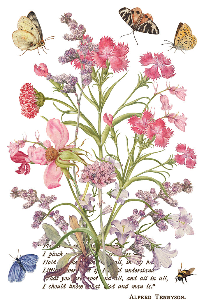 Primrose Isle Transfer by IOD - Iron Orchid Designs