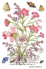 Primrose Isle Transfer by IOD - Iron Orchid Designs