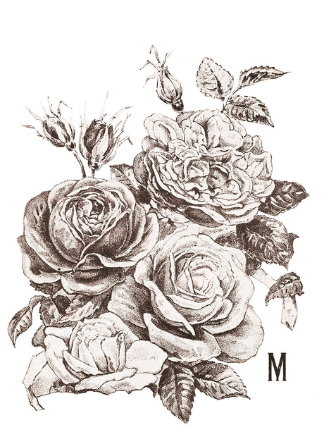 I.O.D. May's Roses Transfer by IOD - Iron Orchid Designs Summer 2023 @ The Painted Heirloom