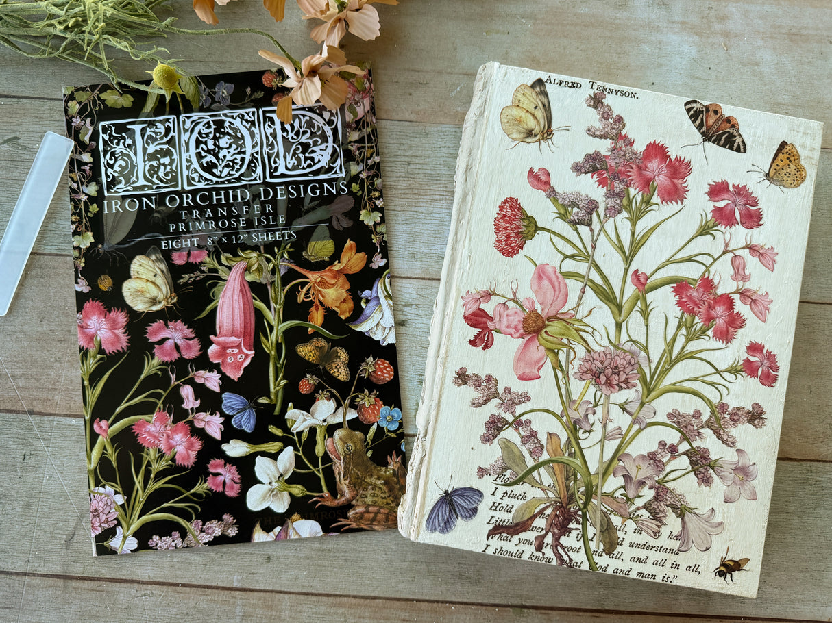 Primrose Isle Transfer by IOD - Iron Orchid Designs
