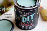 Open can of Apothecary DIY Paint by DIY Paint Co. with brush; visible text: “Medicine for your brush.”.