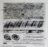 I.O.D. Barnwood Planks Stamp by Iron Orchid Designs; clear silicone, wood grain and knot patterns, sizes in inches.