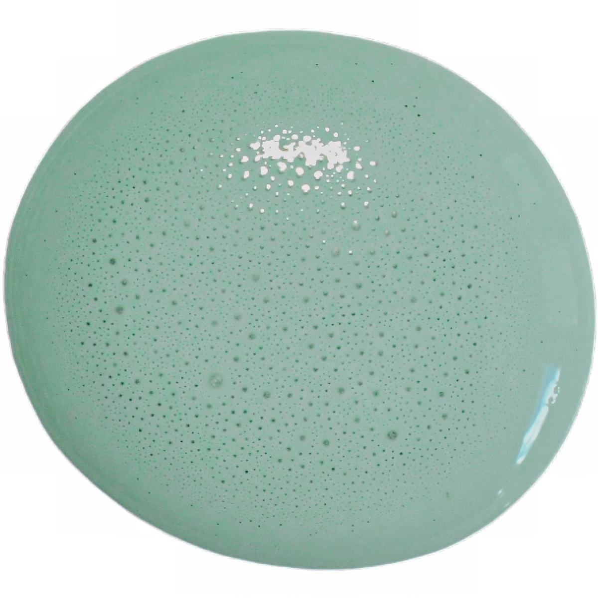 Birdie by Old Fashioned Milk Paint, light green, round flat surface with bubbles and shiny finish, non-toxic.