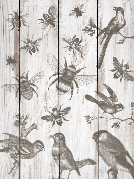 IOD Birds and Bees Stamp by I.O.D. featuring bird and bee designs on vertical light wood planks.
