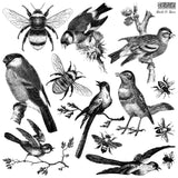 I.O.D. Birds and Bees Stamp by IOD - Iron Orchid Designs Spring 2023 @ The Painted Heirloom