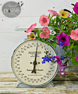 Vintage kitchen scale with tray, painted Bluebird by Old Fashioned Milk Paint, VOC free, on wood, floral accent.