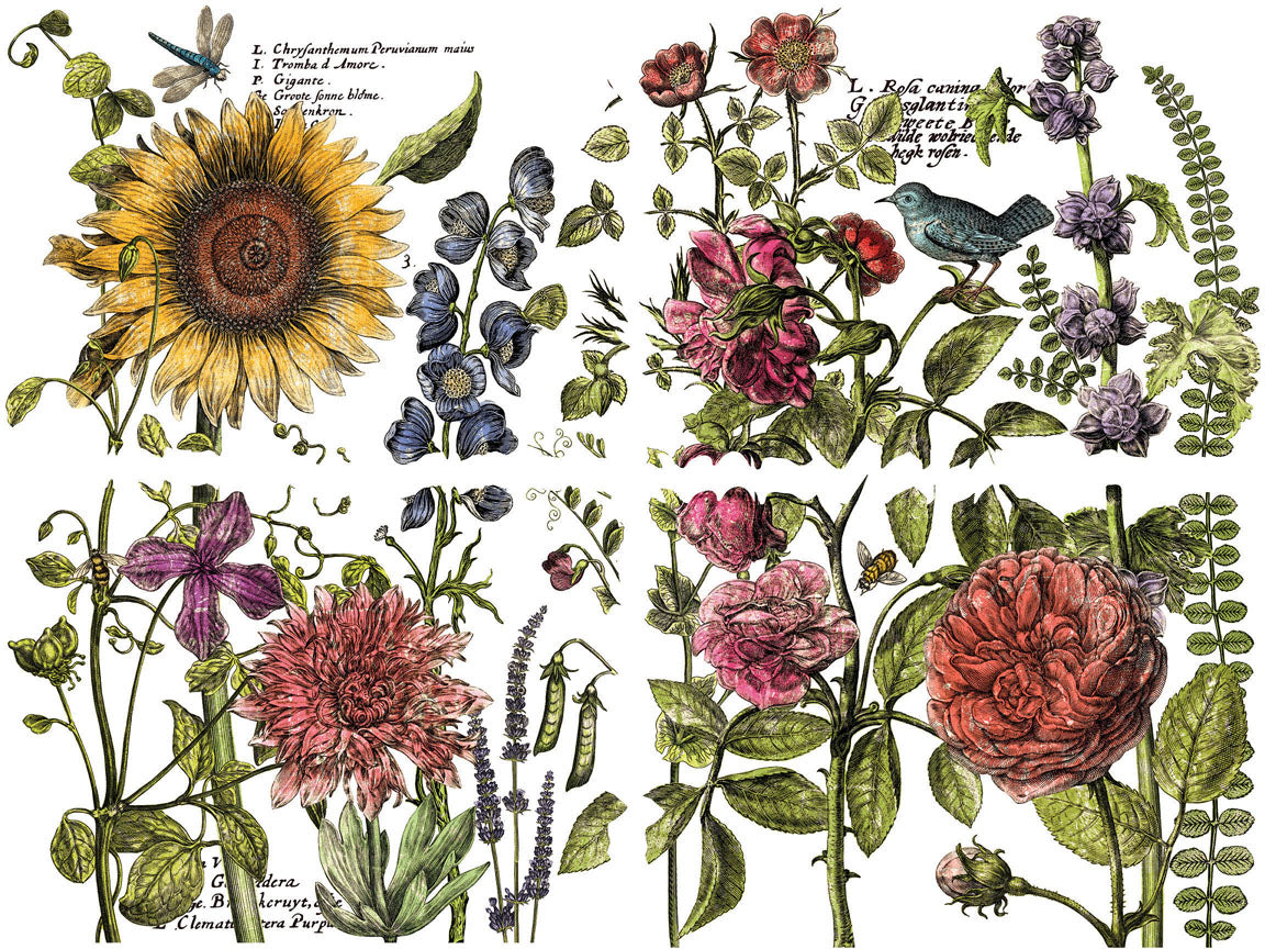 Botanical flowers, plants, and bird art inspired by I.O.D. Botanist’s Journal Transfer by Iron Orchid Designs.