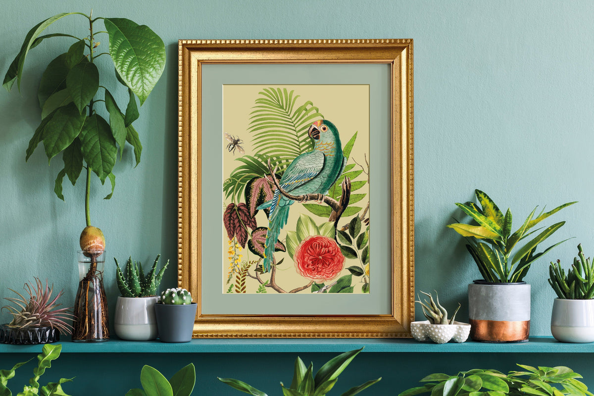 Framed parrot art featuring I.O.D. Bungalow Transfer by Iron Orchid Designs on blue wall with potted plants nearby.