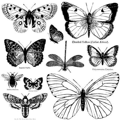 Black and white butterfly design for reusable masks or Iron Orchid Designs I.O.D. Butterflies Stamp.