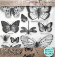 Butterflies Decor Stamp by IOD - Iron Orchid Designs @ Painted Heirloom