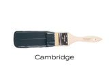 Brush with Fusion Mineral Paint Cambridge dark gray paint on bristles against white background.