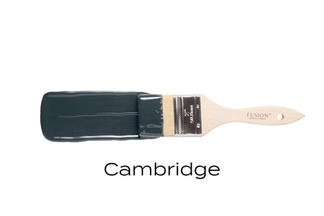 Brush with Fusion Mineral Paint Cambridge dark gray paint on bristles against white background.