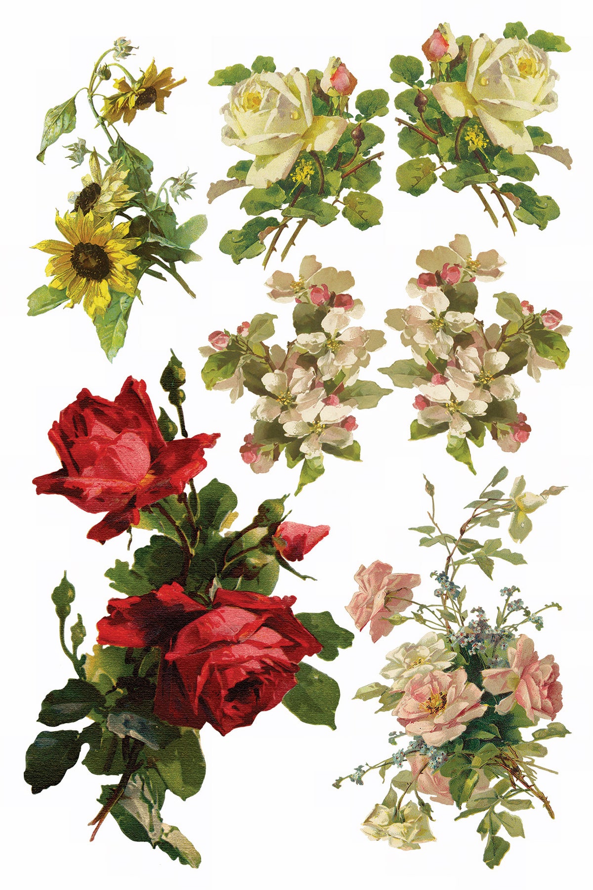 Six vintage floral motifs inspired by Catharina Klein from the Catharina Transfer by IOD – Iron Orchid Designs.