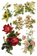 Six vintage floral motifs inspired by Catharina Klein from the Catharina Transfer by IOD – Iron Orchid Designs.