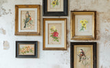Catharina Transfer by I.O.D. showcasing vintage floral art, designed for creating worn, textured wall finishes.