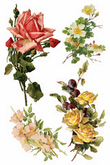Set of four vintage Klein-style watercolor floral designs using Catharina Transfer by I.O.D. from Iron Orchid Designs.