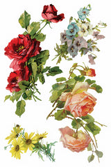 Catharina Transfer by IOD featuring vintage-style roses and pansies inspired by Catharina Klein botanical art.