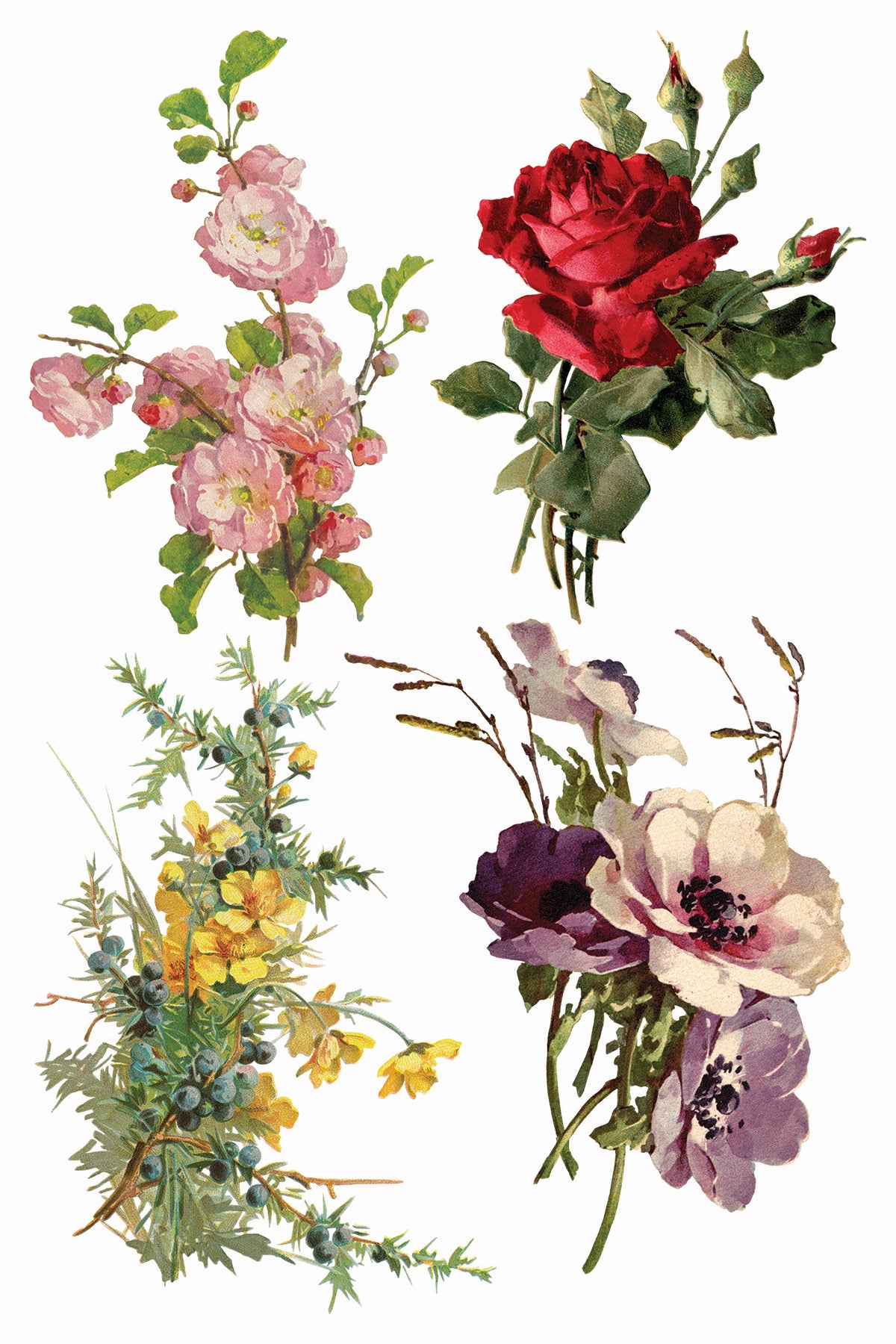 Four floral bouquets with pink, red, and yellow accents in style of vintage Catharina Transfer by I.O.D.