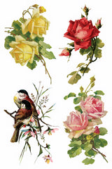 Catharina Transfer by I.O.D. featuring 4 vintage floral and bird designs inspired by Catharina Klein on white.