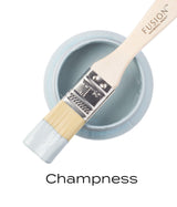 Paintbrush with light blue matte finish resting on open jar of Champness Fusion Mineral Paint.