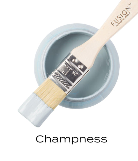 Paintbrush with light blue matte finish resting on open jar of Champness Fusion Mineral Paint.