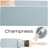 Brush with light blue Champness Fusion Mineral Paint, paint swatches, and matte Fusion Mineral Paint lid shown.