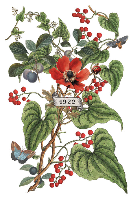 Clementine Transfer (2025) by IOD featuring lush leaves, berries, and florals for botanical design projects.