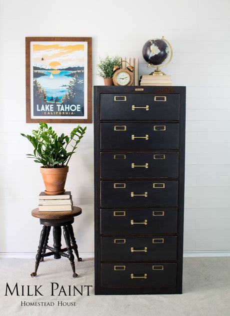 Tall filing cabinet painted Homestead House Coal Black Milk Paint, shown beside a plant and books.