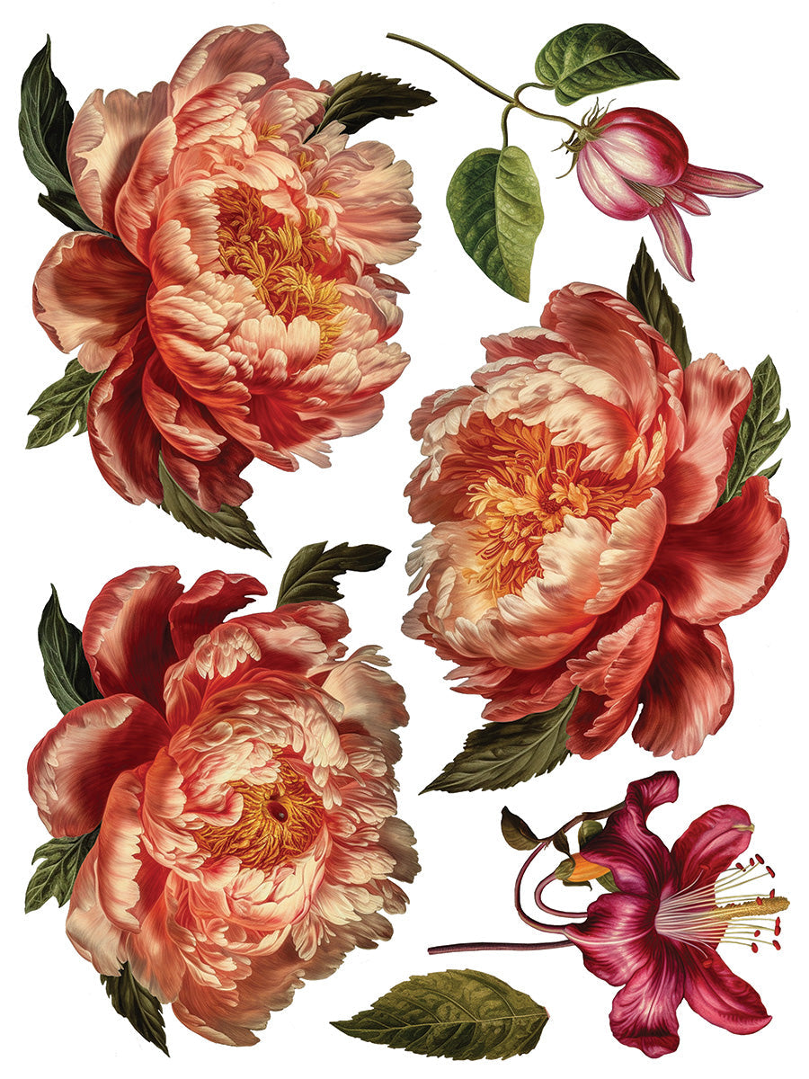 Collage De Fleurs Transfer by IOD featuring peonies and greenery, by Iron Orchid Designs.
